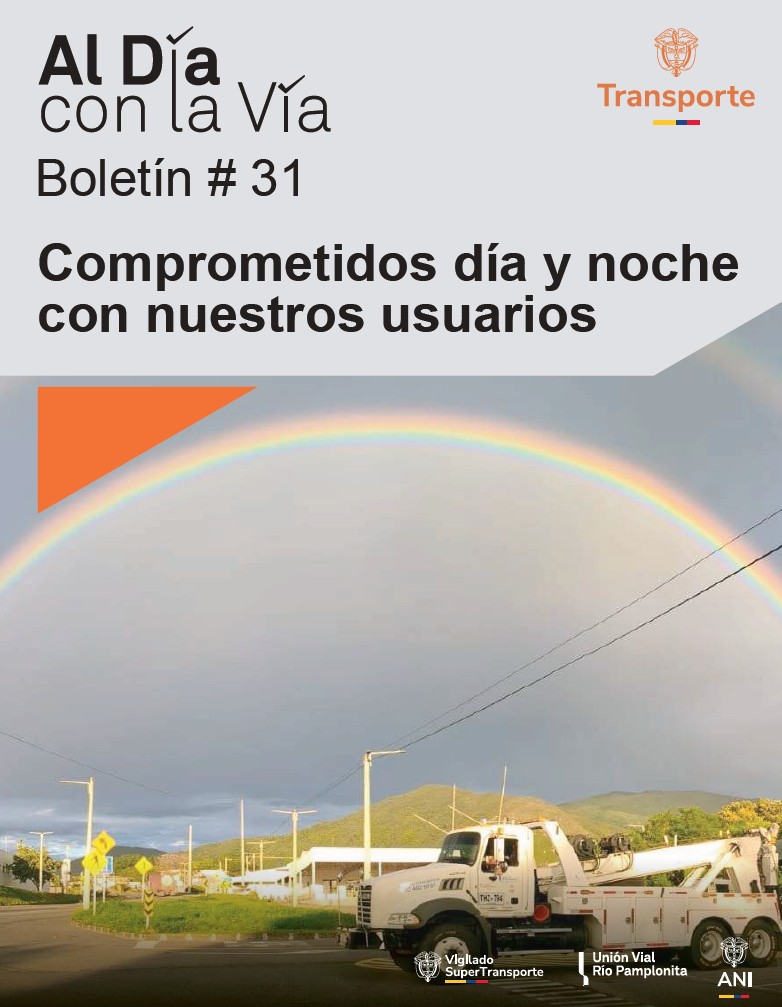 Boletín Trimestral 31